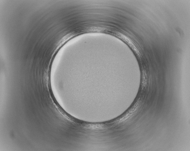 X0000115580802200912221048