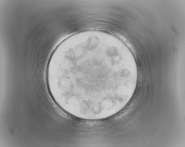 X0000115580803200912221048