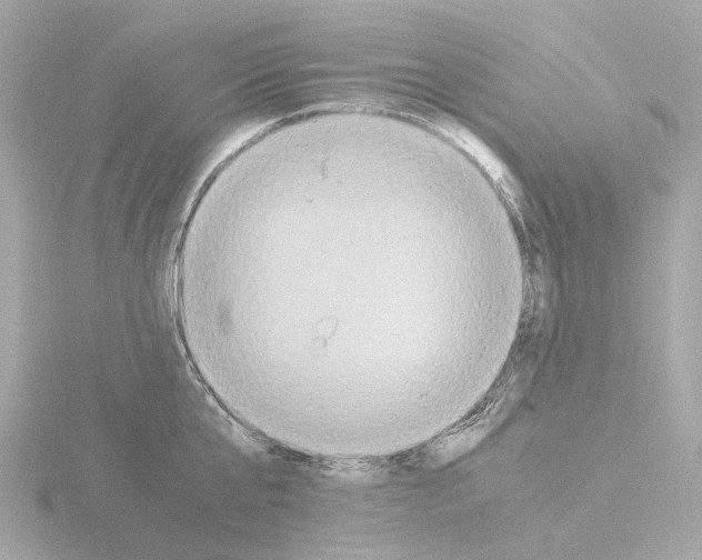 X0000115580807200912221048