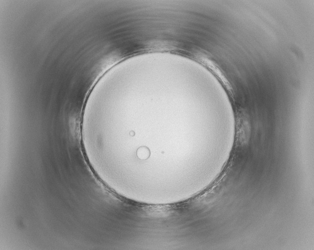 X0000115580810200912221048