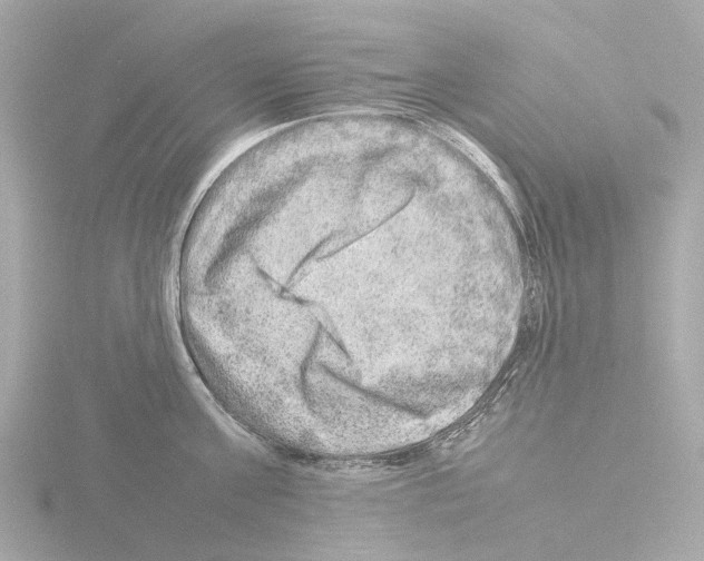 X0000115580811200912221048