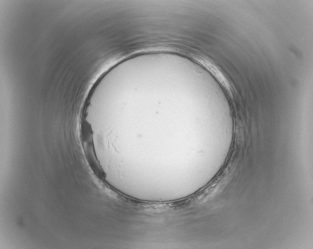 X0000115580813200912221047