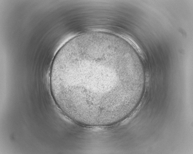 X0000115580814200912221047