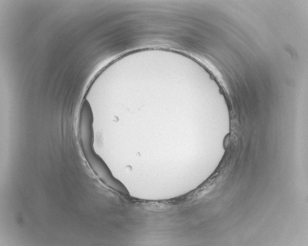 X0000115580815200912221047