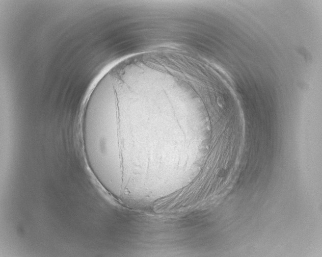 X0000115580816200912221047