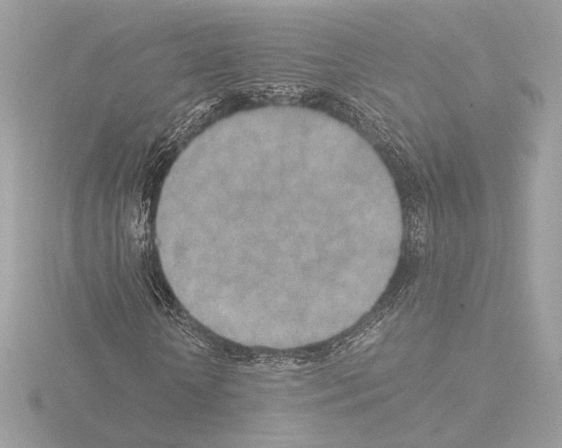 X0000115580818200912221047