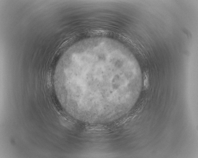 X0000115580819200912221047