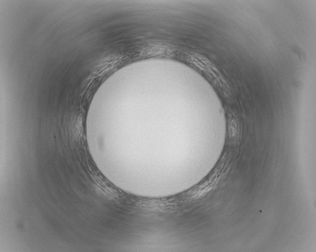 X0000115580820200912221047