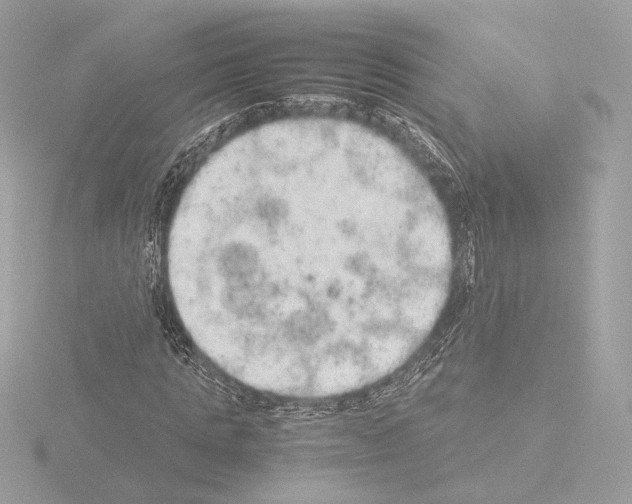 X0000115580821200912221047