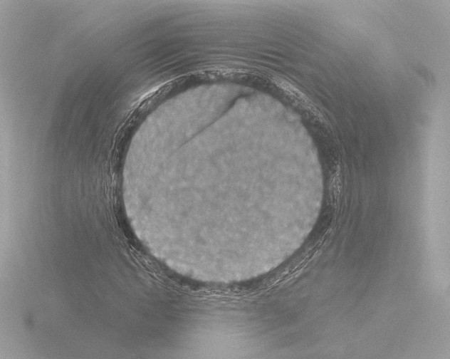 X0000115580822200912221047