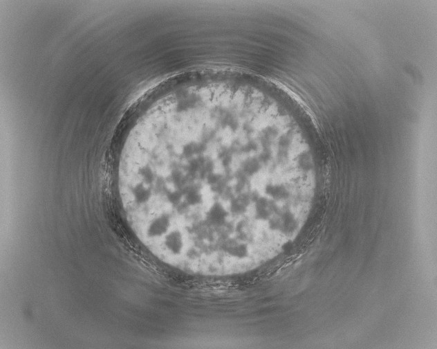 X0000115580823200912221047