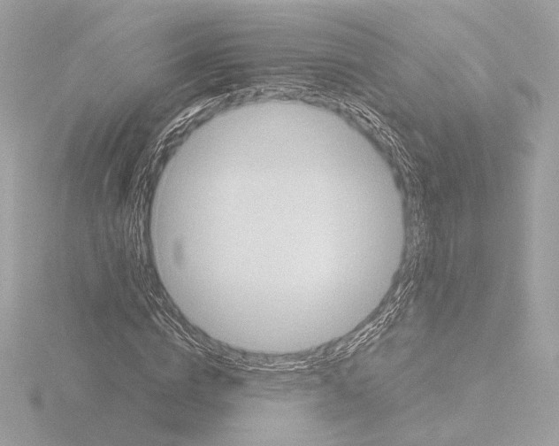 X0000115580824200912221047