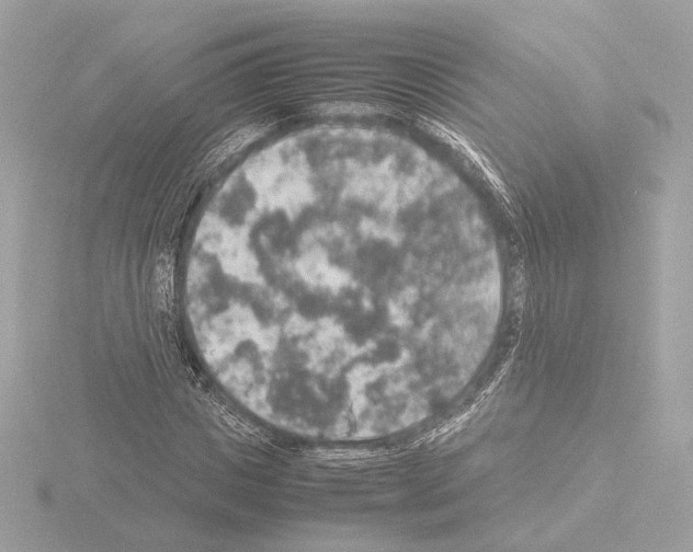 X0000115580825200912221047