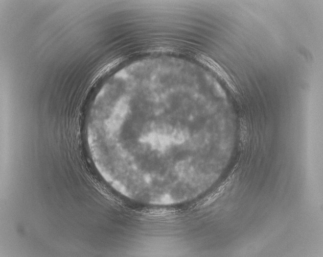 X0000115580826200912221047