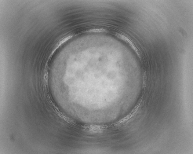 X0000115580827200912221047