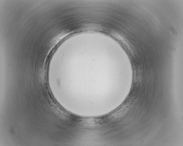 X0000115580828200912221047