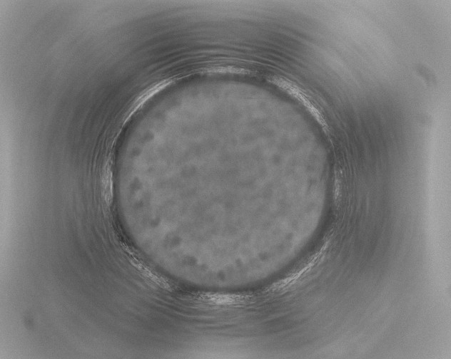 X0000115580829200912221047