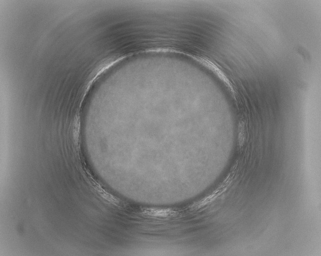 X0000115580831200912221047