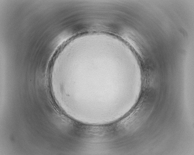 X0000115580832200912221047