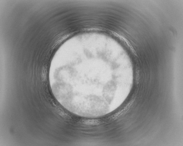 X0000115580833200912221047