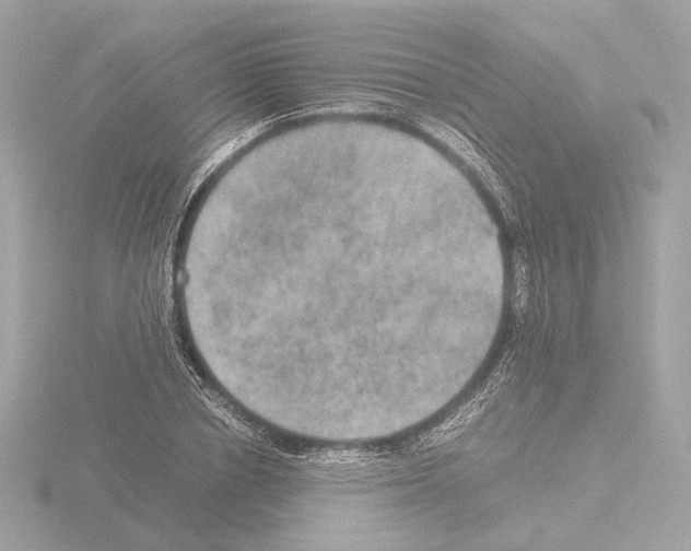 X0000115580834200912221047