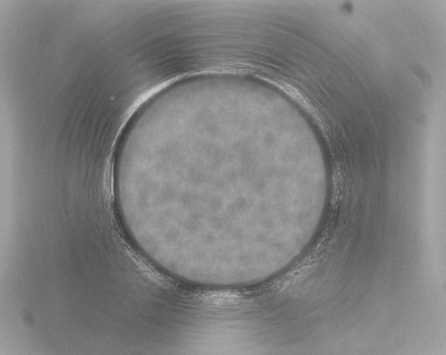 X0000115580838200912221047