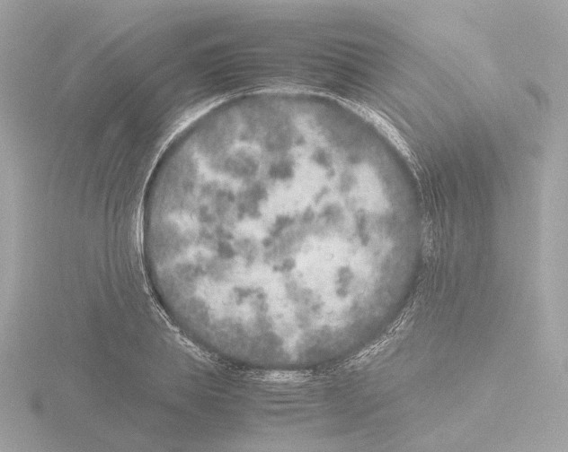 X0000115580839200912221047