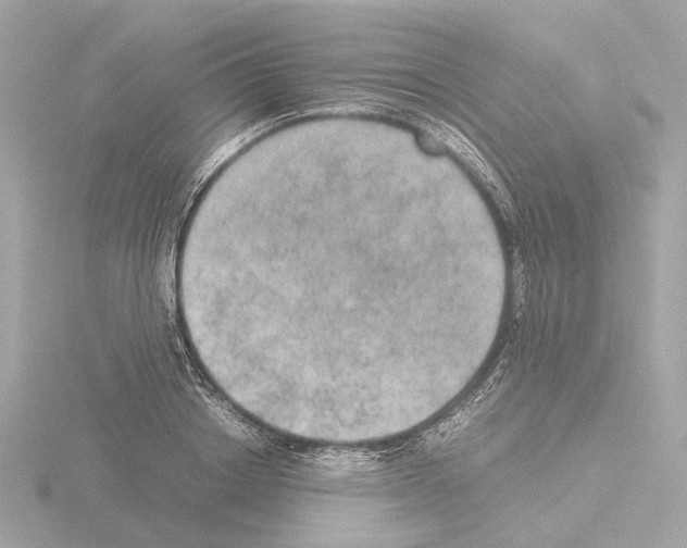 X0000115580842200912221047