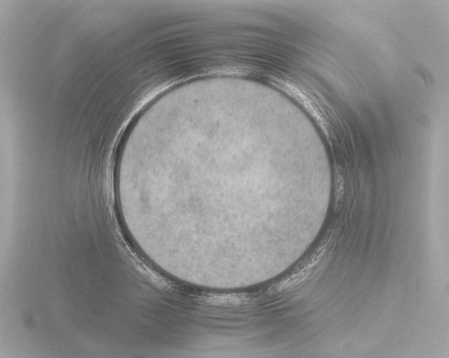 X0000115580843200912221047