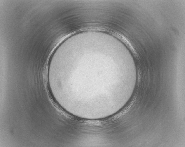 X0000115580844200912221047