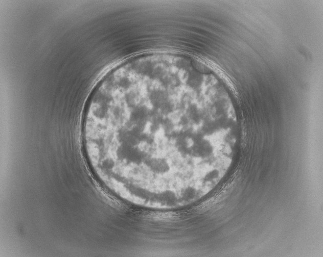 X0000115580845200912221047