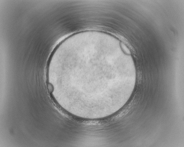 X0000115580846200912221047