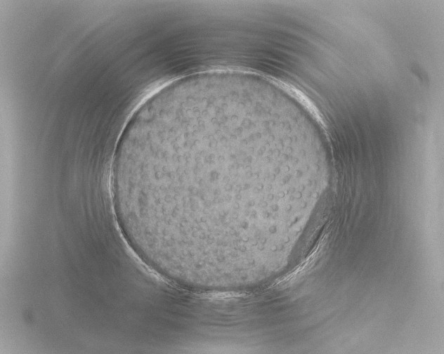 X0000115580847200912221047