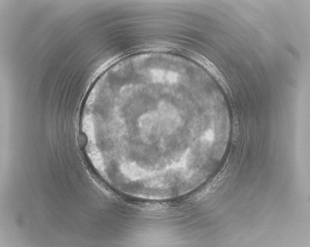 X0000115580850200912221047