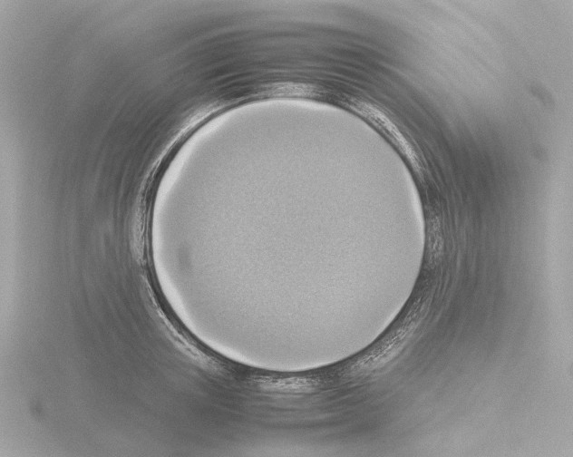 X0000115580851200912221047