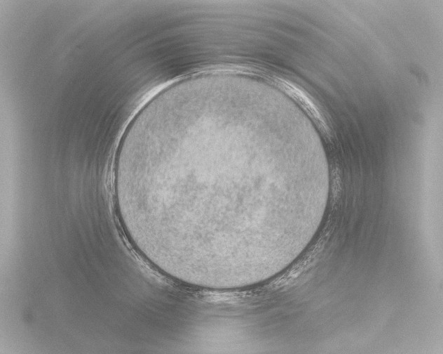 X0000115580852200912221047