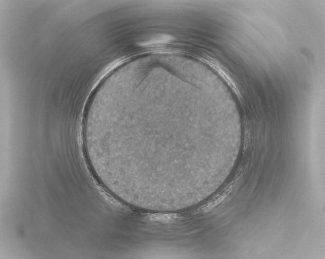 X0000115580853200912221047