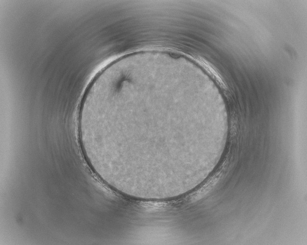 X0000115580854200912221047