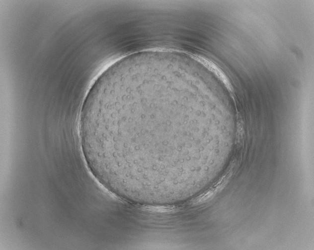 X0000115580855200912221047