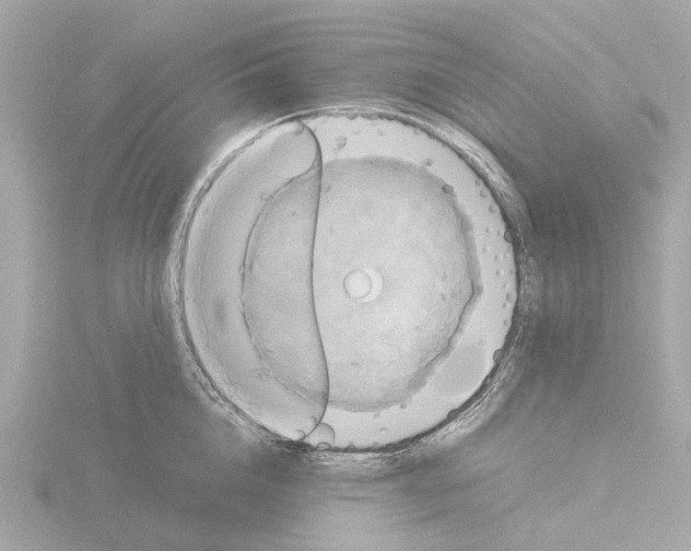 X0000115580856200912221047