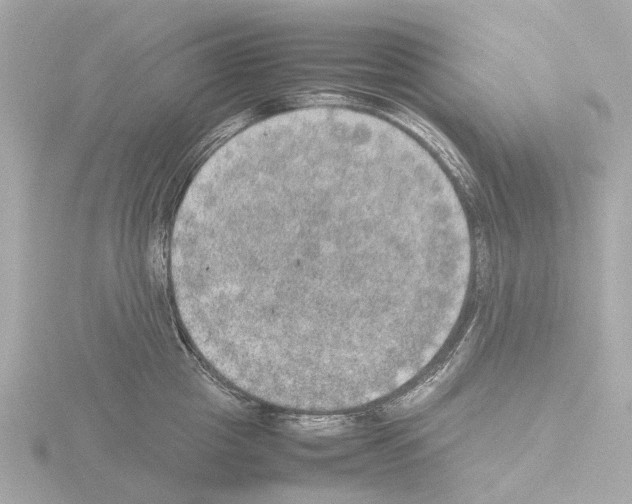 X0000115580857200912221047