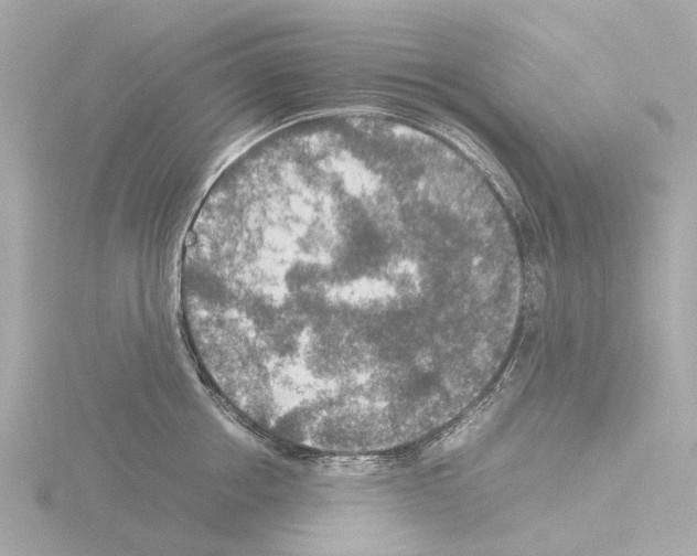 X0000115580858200912221047