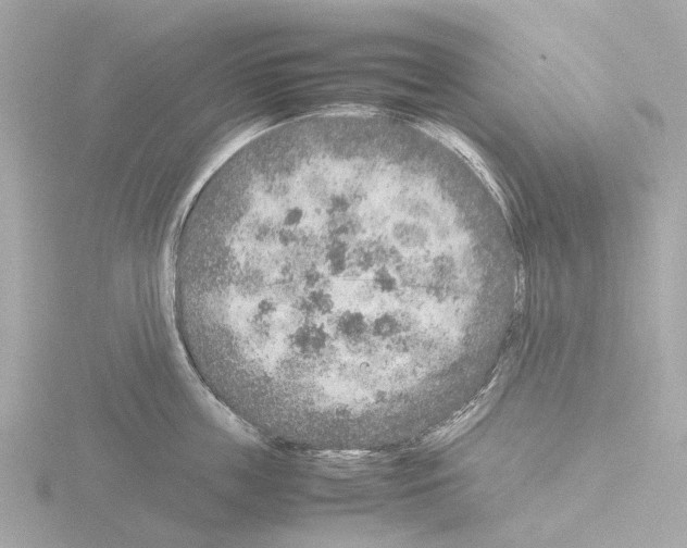 X0000115580859200912221047