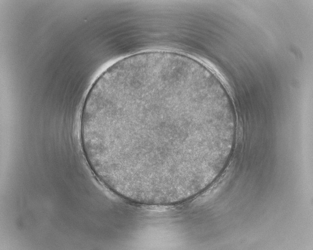 X0000115580862200912221047