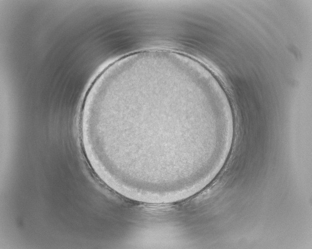 X0000115580864200912221047