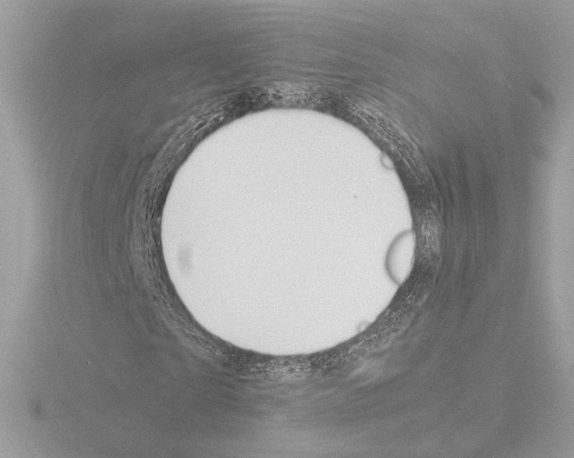 X0000115580865200912221047