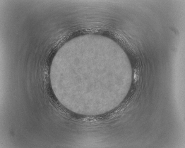 X0000115580867200912221047