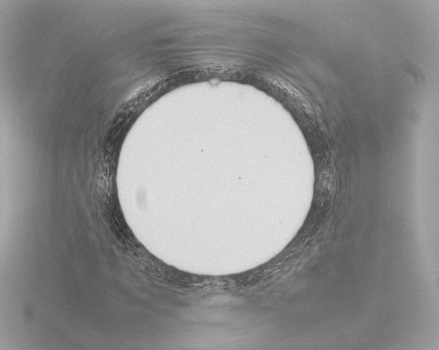 X0000115580869200912221047