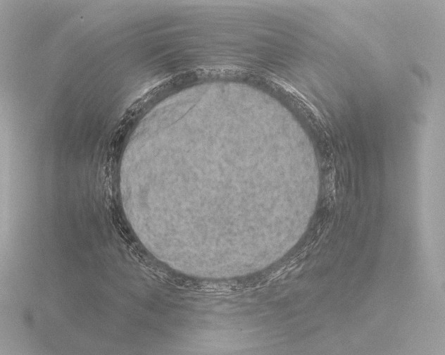 X0000115580870200912221047