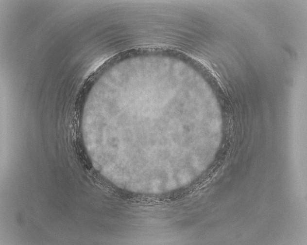 X0000115580871200912221047